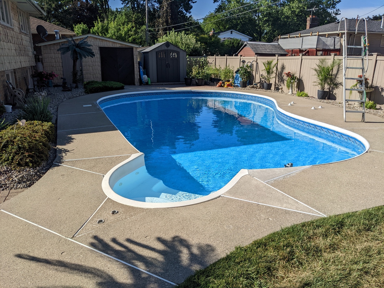 Pool deck before tan resin with palm decor — before